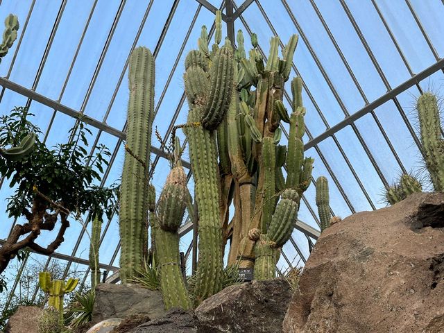 【静岡】一風変わった動植物園