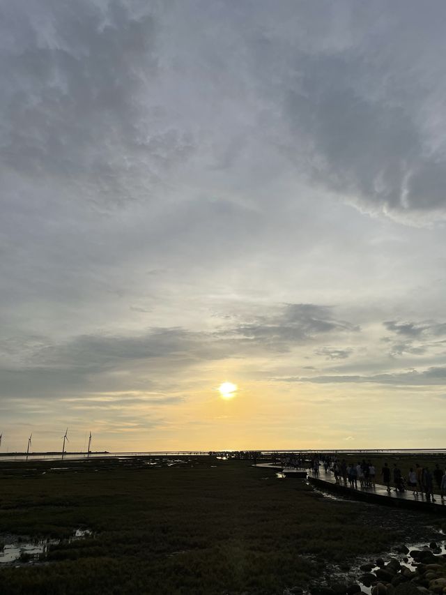 台中郊區遊 台中郊區遊