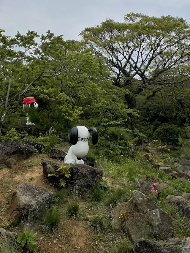 [제주도] 귀여운 스누피로 가득한 스누피 가든!🐾