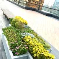 Hidden Observation Deck