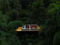 Cabin กลางป่าเชียงใหม่ ที่พักสุดปัง🌳