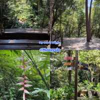 Tropical Spice Garden