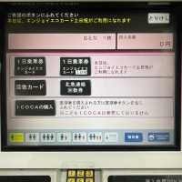 大阪観光！土日祝 620円大阪メトロ全線1日乗り放題エンジョイエコカードが便利だった
