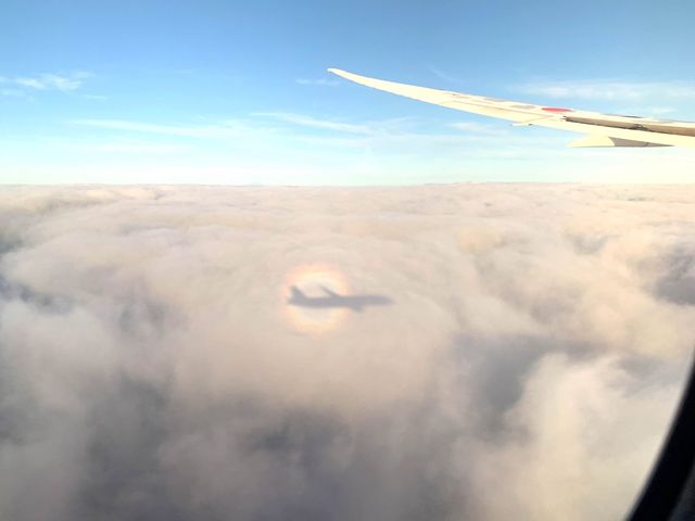 ベトナム　ベトナム観光　ハノイ　ノイバイ国際空港から成田国際空港へANA便で快適フライト！