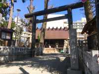 【東京都/高円寺氷川神社】高円寺鎮守の氷川さま