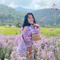 เจอ กู๊เนียร์ ฟอร์เร็ซท สวนดอกไม้ ที่ใหญ่ที่สุดในเชียงใหม่