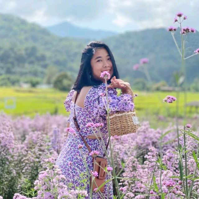 เจอ กู๊เนียร์ ฟอร์เร็ซท สวนดอกไม้ ที่ใหญ่ที่สุดในเชียงใหม่