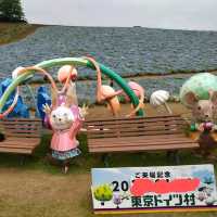 ネモフィラの絶景を楽しめる穴場スポット
