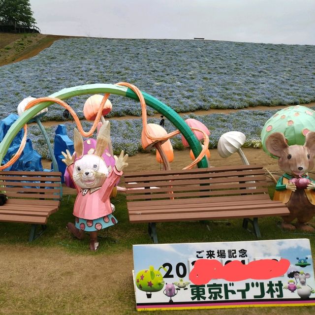 ネモフィラの絶景を楽しめる穴場スポット