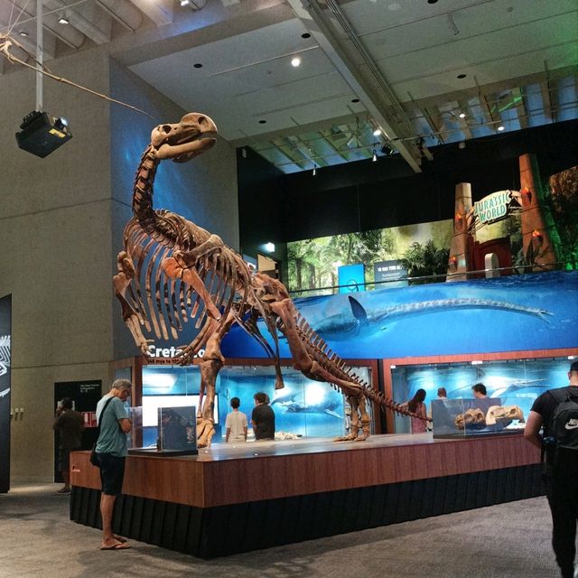 A Day at Queensland Museum