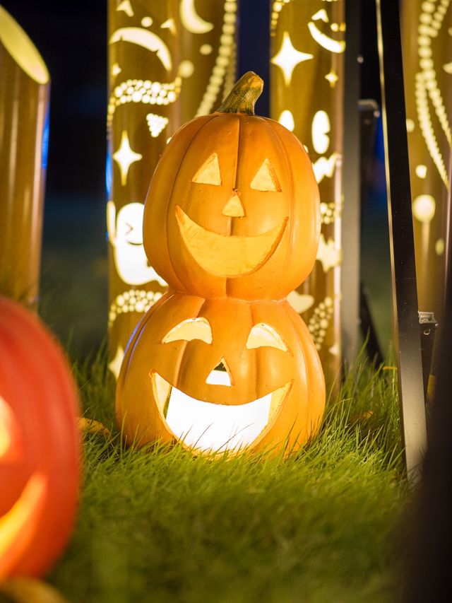 【竹あかり×ハロウィン🎃】無料で見れる美しいハロウィン体験しませんか？☺️✨