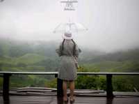 ปล่อยใจไปน่าน@บ้านภูแววิว Phuvae View Home