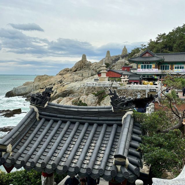 【韓国釜山・機張】釜山のパワースポット！願いを叶えたいなら「해동용궁사（海東龍宮寺）」
