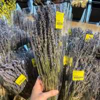 Botanical Sightseeing at Far East Flora HQ