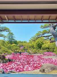 【島根　松江市】　由志園
