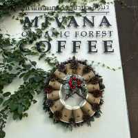 MiVana Coffee Flagship Store