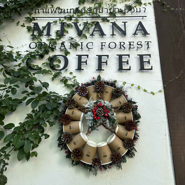 MiVana Coffee Flagship Store