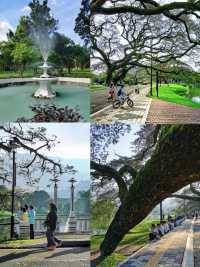 Heritage Raintree Walk & Picturesque Scenary
