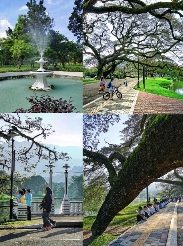 Heritage Raintree Walk & Picturesque Scenary