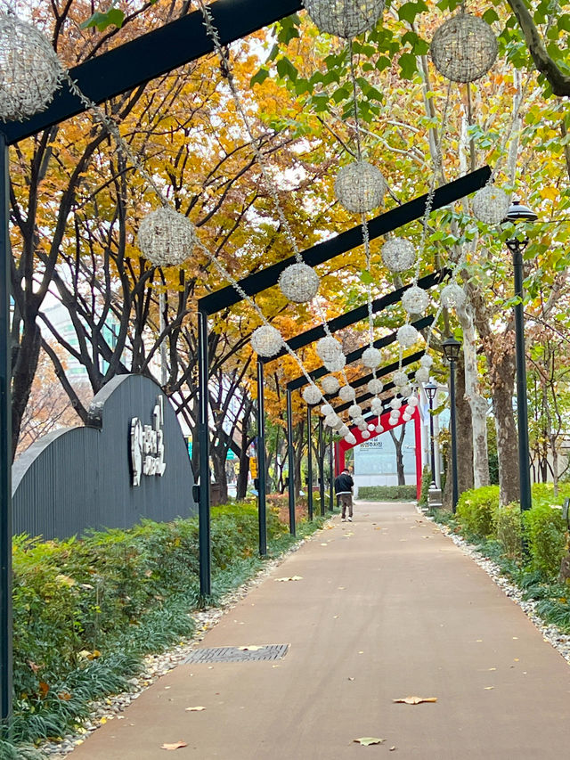 대구 여행에서 멋진 사진을 찍고싶다면〰️