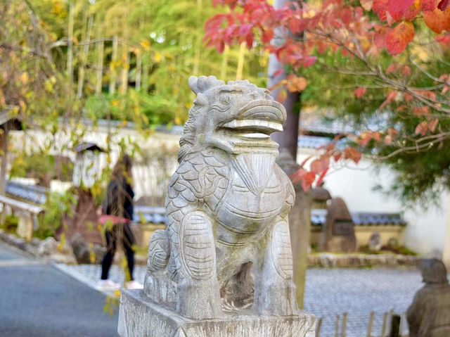 The Arashiyama Bamboo Forest