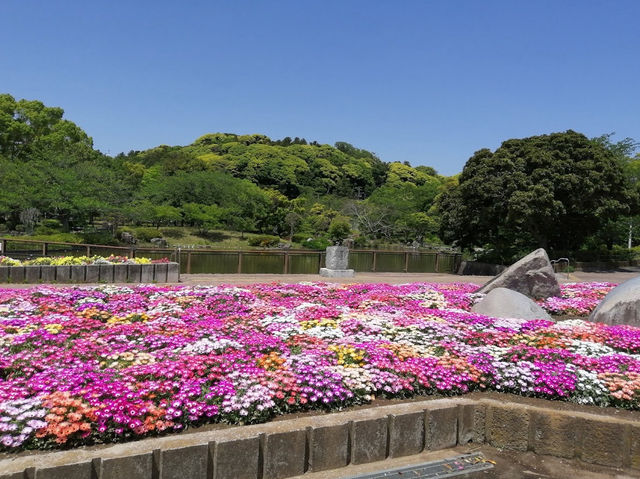 Sodegaura Park