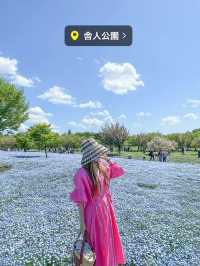 東京で絶景ネモフィラ！無料で楽しめる！舎人公園