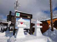 Skiing Season