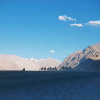 Hunder Sand Dunes w Camel Ride