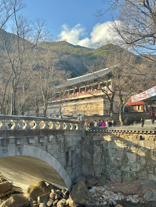 자연을 보며 고즈넉함에 빠질 수 있는 구례 사찰🧡