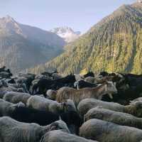 Sonamarg - "Switzerland" in India