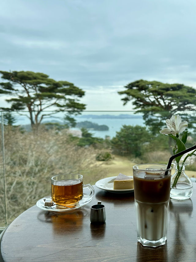 ชมซากุระ-ต้นสน เก่าแก่บนเขาวิวอ่าว Matsushima 