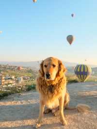 Cappadocia's Sky: Hot Air Balloon Magic