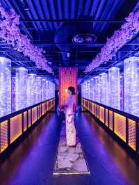 アートアクアリウム美術館 GINZA  『めっちゃ桜2024』🌸🐠🌸🐠🌸 