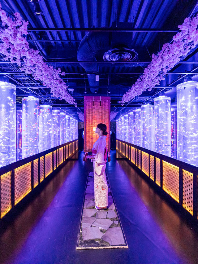 アートアクアリウム美術館 GINZA  『めっちゃ桜2024』🌸🐠🌸🐠🌸 
