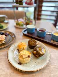 《✨北角酒店抹茶主題下午茶🍵 | 聯乘 Matchali 多款精緻抹茶甜品》