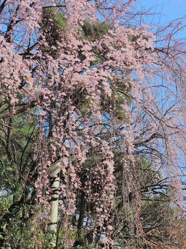 놀이동산 교복데이트