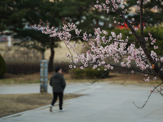 Chill day at Hangang Park Seoul