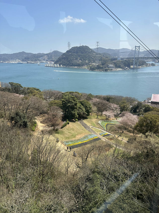 今年で66周年の火の山ロープウェイがオススメ