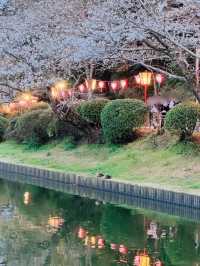【千葉】今週末が見頃!!桜の名所100選の穴場お花見スポット