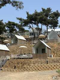 🍀 푸릇푸릇한 풀밭 정원에서 뛰어놀며 🏝️ 봄휴양 분위기를 만끽해보아요!🍀