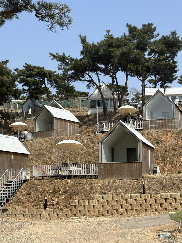 🍀 푸릇푸릇한 풀밭 정원에서 뛰어놀며 🏝️ 봄휴양 분위기를 만끽해보아요!🍀
