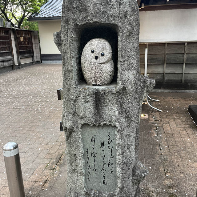 【今の時期桜がきれいな寺院】祥雲寺