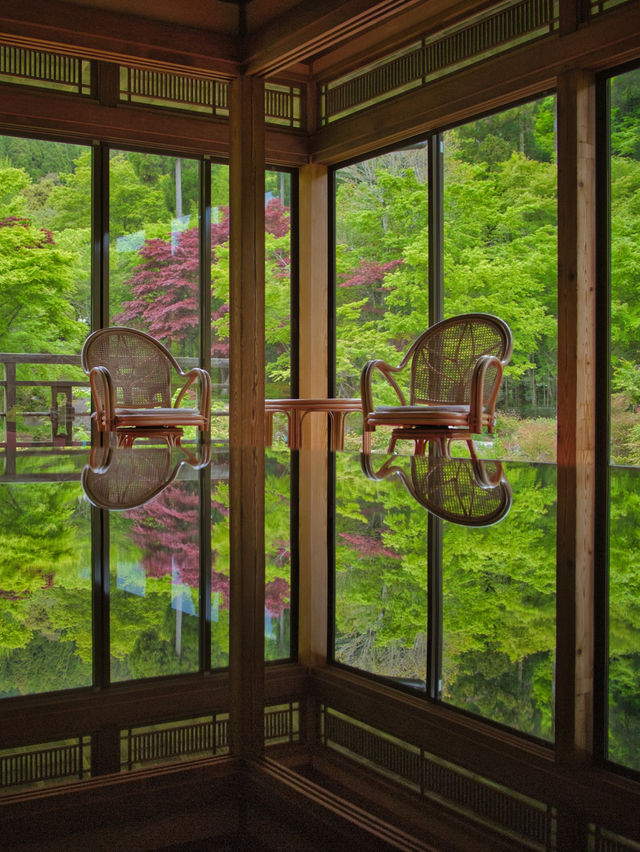 【佐賀県】ご夫婦が40年かけて作った庭園のリフレクションが美しいスポットを紹介🔍