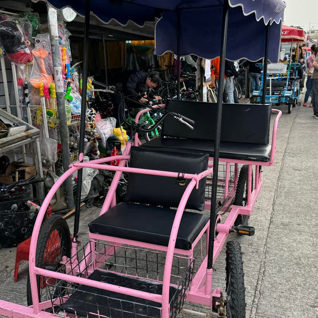 親子好去處！親親大自然～親子踏單車、鴨子船、燒烤～