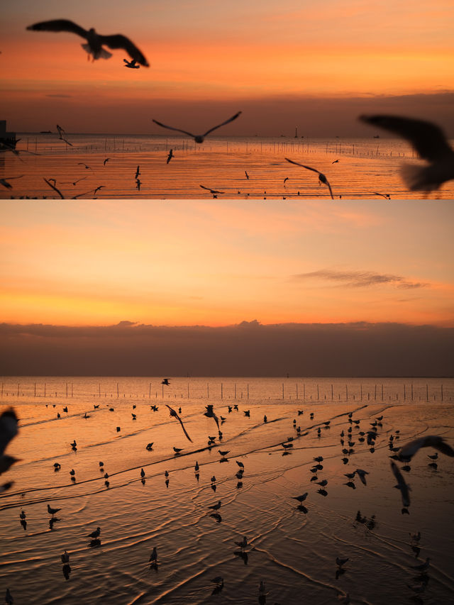 สถานตากอากาศบางปู 🐦🌤️