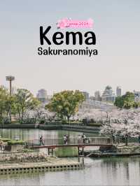 Kema Sakuranomiya Park