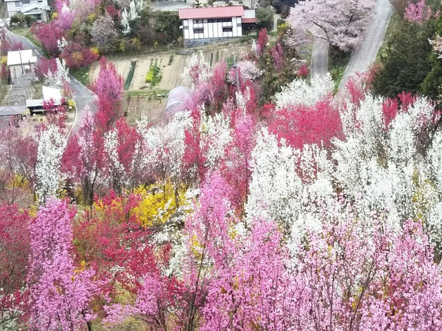 [のどかな春感じませんか] 福島県花やしき公園