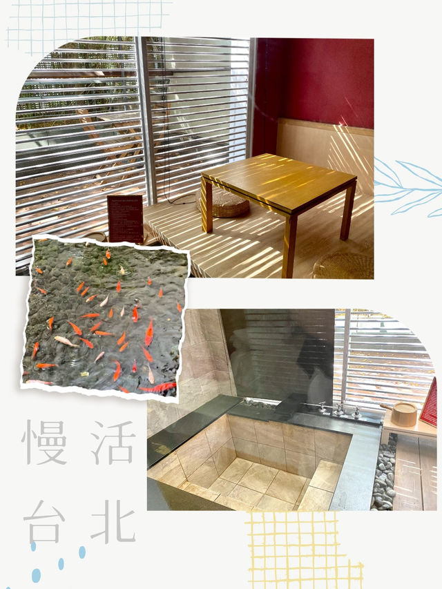 享受慢活台北🤍💚🤍溫泉♨️旅店之旅