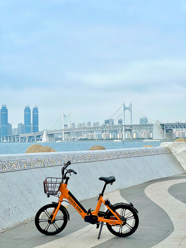 자전거로 돌아보는 부산핫플 탐방기🚲⭐️